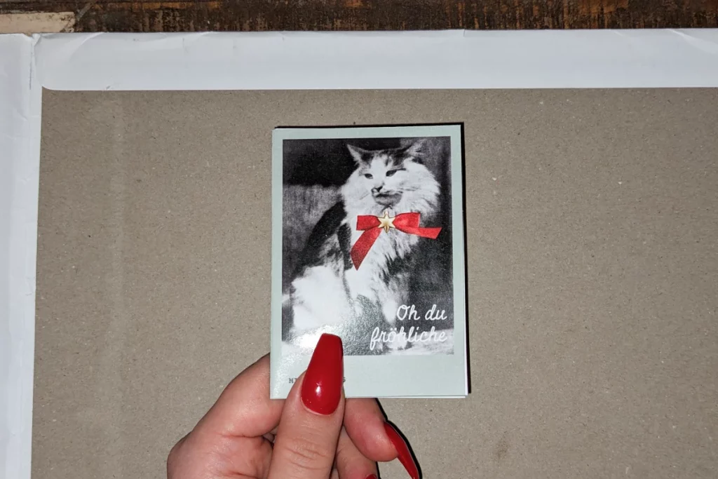 Hand mit roten Fingernägeln hält Zine "Oh du fröhliche", auf dem Cover ein nostalgisches Katzenbild in schwarz weiß mit einer roten Schleife