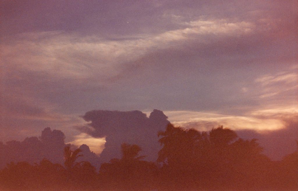 Farbenfroher Abendhimmel mit lila Wolken über dunklen Palmensilhouetten in Miami.