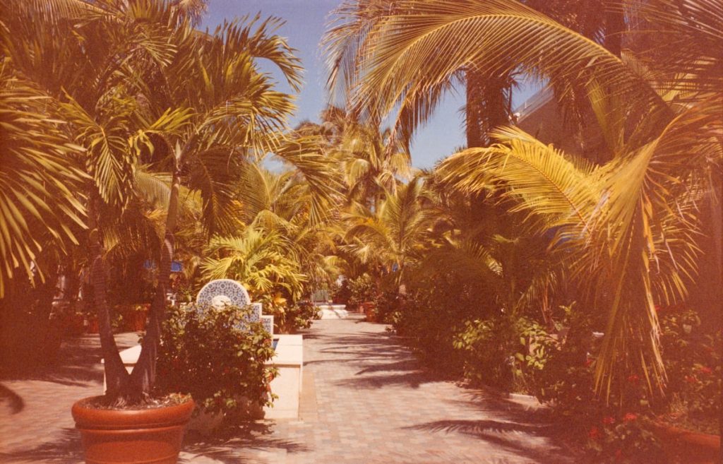 Sonniger, von Palmen und tropischen Pflanzen gesäumter Fußweg in einer Anlage.