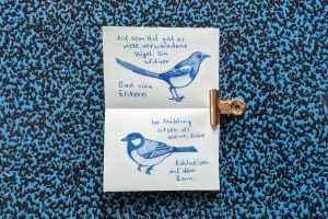 Season Mail: Zine und Saatgut