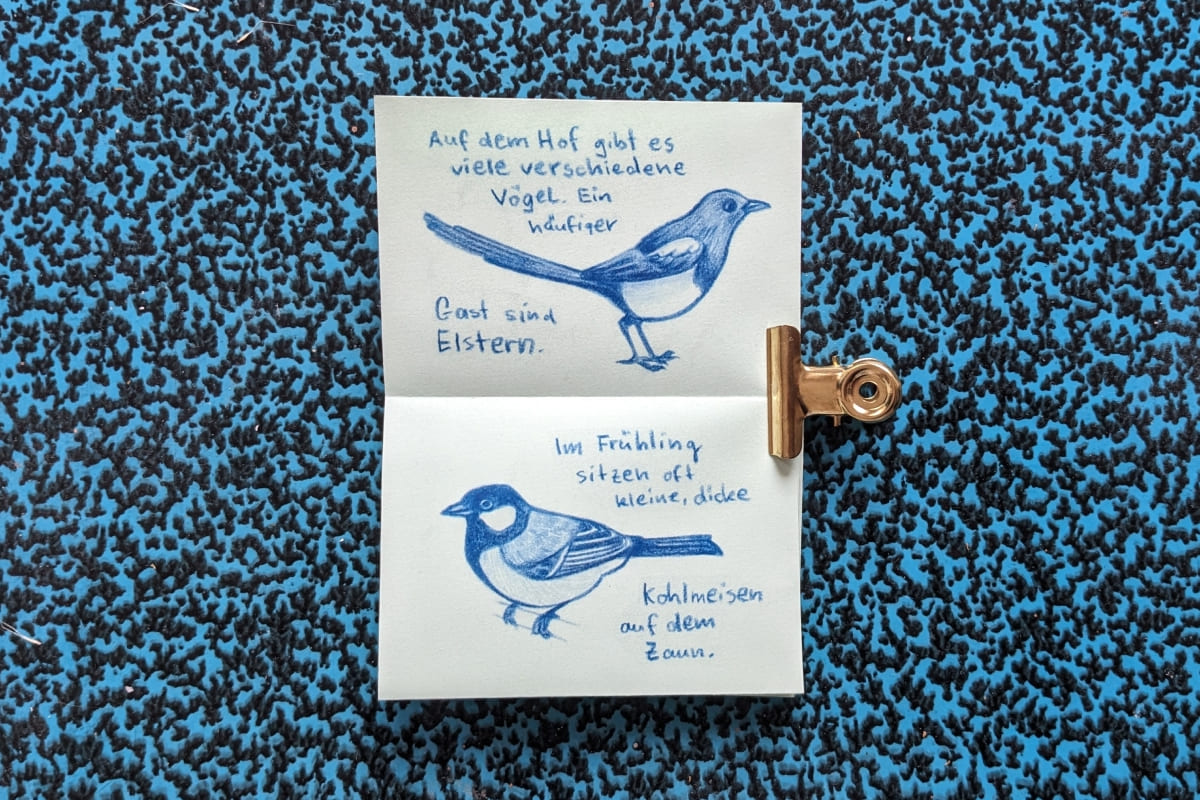 Offenes Zine mit goldener Klammer. Darin Zeichnungen mit blauem Buntstift von einer Elster und einer Kohlmeise.