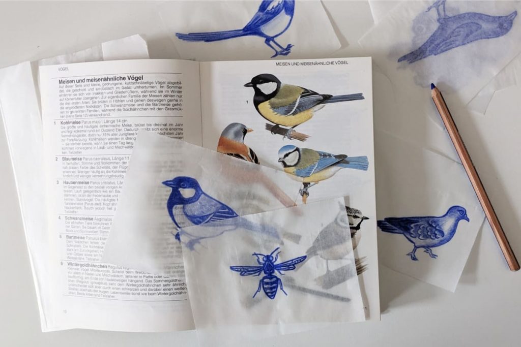 Offenes Buch mit naturgetreuen Abbildungen von Vögeln. Darauf kleine Stücke Transparentpapier mit blauen abgepausten Zeichnungen von Vögeln und Insekten.