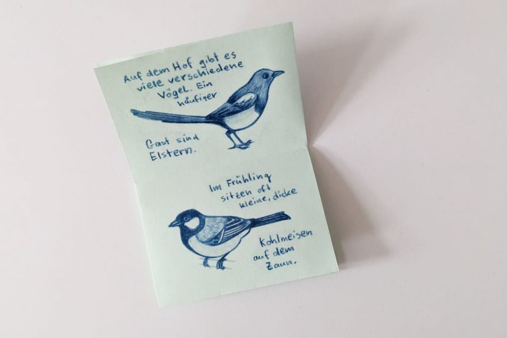 Offenes Zine mit blauen Zeichnungen einer Elster und einer Kohlmeiste sowie handgeschriebenem Text