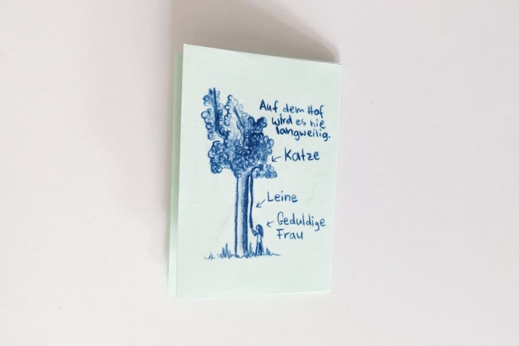 Rückseite mit Zeichnung von einem Baum und einer Frau. Beschriftung: Auf dem Hof wird es nie langweilig. Katze (Pfeil in den Baum), Leine, Geduldige Frau (Pfeil zur Frau, die die Leine hält)