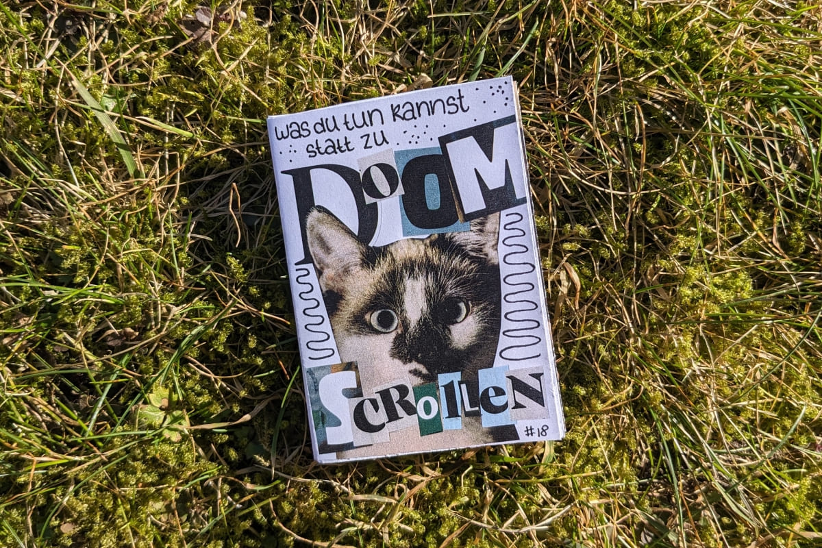 Zine auf Wiese: „Was du tun kannst statt zu Doomscrollen“ mit einem Katzenfoto und Buchstaben im Collage-Stil.