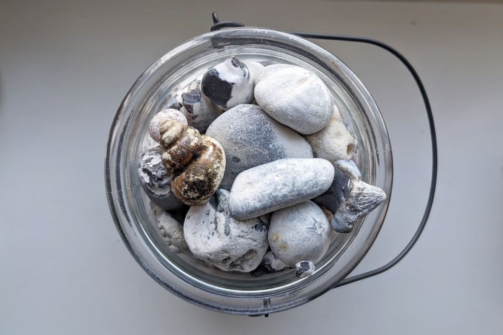 Draufsicht auf ein rundes Glasgefäß, das bis zum Rand mit verschiedenen Strandfunden gefüllt ist. Zu sehen sind ein Korallenfossil, ein Stein mit Loch, versteinerte Seeigel sowie ein auffälliges, bräunlich gestreiftes Schneckenhaus.