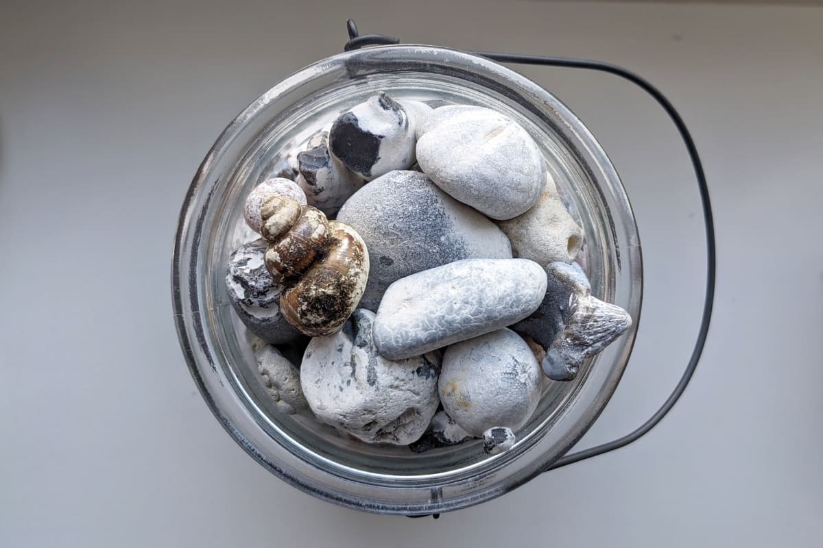 Draufsicht auf ein rundes Glasgefäß, das bis zum Rand mit verschiedenen Strandfunden gefüllt ist. Zu sehen sind ein Korallenfossil, ein Stein mit Loch, versteinerte Seeigel sowie ein auffälliges, bräunlich gestreiftes Schneckenhaus.
