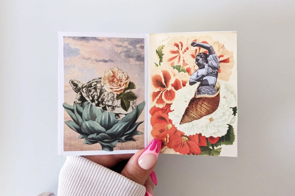 Offenes Zine: Links Schildkröte mit einer Rose auf dem Panzer sitzt auf einer Artischocke, rechts tanzende Frau in einer Muschel vor Blumen.