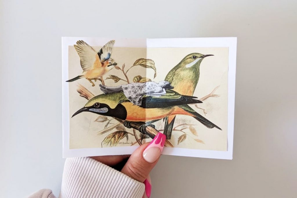 Offenes Zine mit Vogel-Collagen. Auf dem Rücken eines Vogels liegt eine Frau und entspannt.