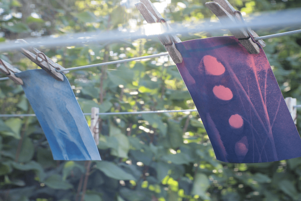 Zwei frisch belichtete Cyanotypie-Papiere in Blau und Violett-Rosa hängen an einer Wäscheleine im Garten.