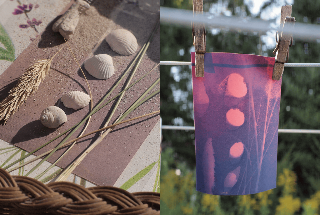 Collage: Links Muscheln, Sand und Gräser auf Papier im Sonnenlicht; rechts eine violett-rosa Cyanotypie an einer Wäscheleine.
