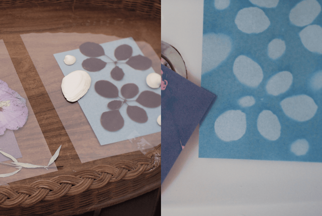 Collage: Links Pflanzenteile und Muscheln auf Papier; rechts ein hellblaues Cyanotypie-Bild mit runden Blätterabdrücken im Waschbecken.