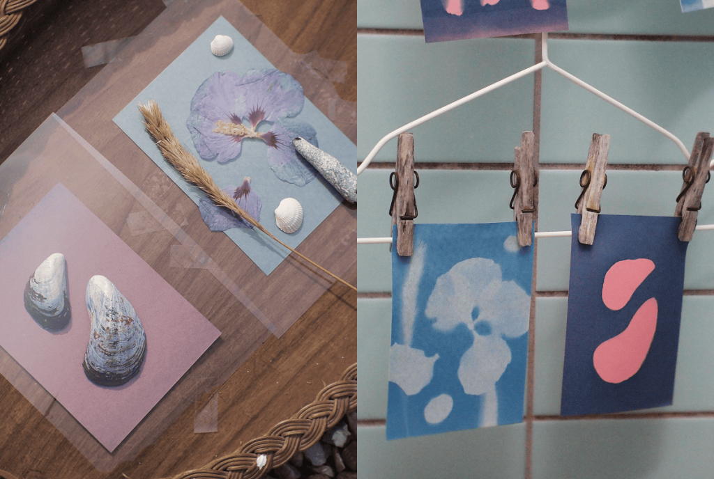 Collage: Links Muscheln, Blüte und Stein auf Papier; rechts zwei fertige Cyanotypien (Blau und Dunkelblau-Rosa) an Klammern auf einem Kleiderbügel vor Fliesen.