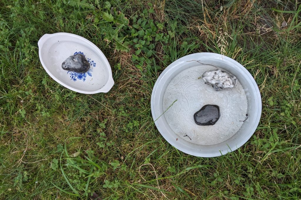 Vogeltränken im Gras: Zwei Schalen mit Wasser und Steinen darin, aus der Vogelperspektive fotografiert.