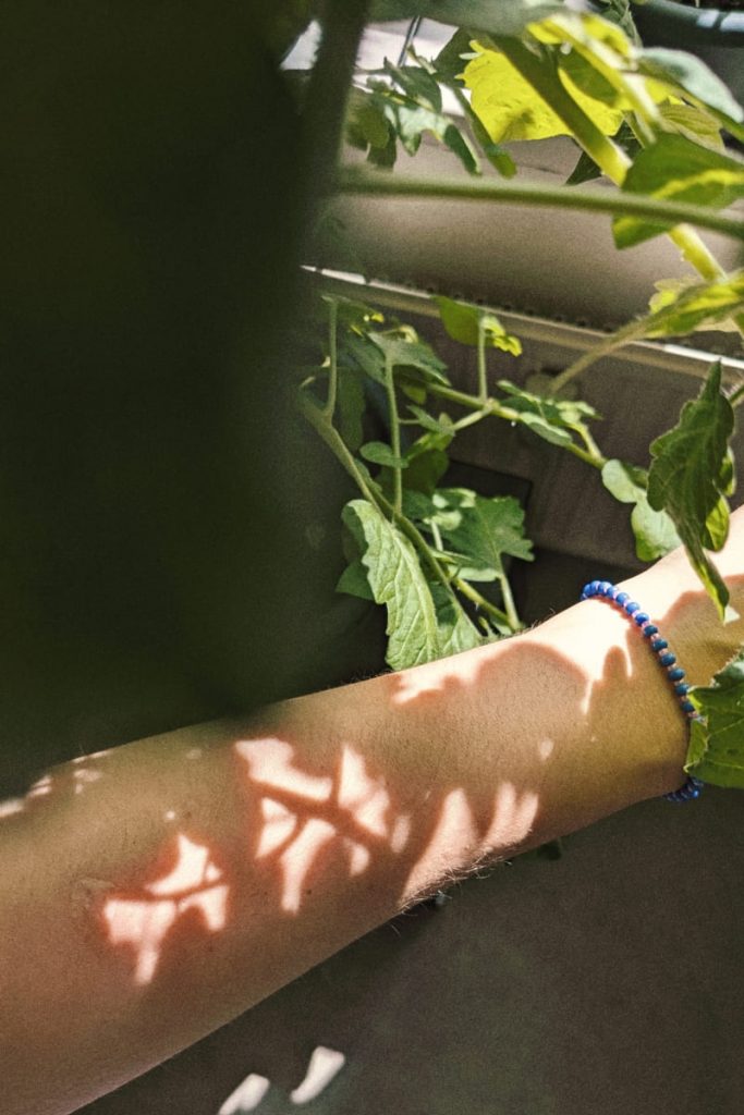Sonnenlicht fällt durch die Blätter einer Tomatenpflanze und wirft ein grafisches, geometrisches Schattenmuster auf den Unterarm einer Person, das exakt dem Motiv auf dem Zine-Cover entspricht.