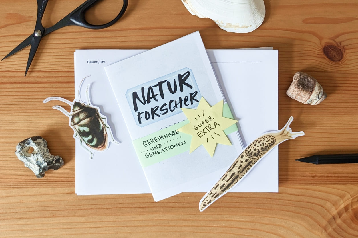 Basteltisch mit Naturforscher-Heft, Schere, Steinen, Muschel, einem ausgeschnittenen Käfer und Schnegel.