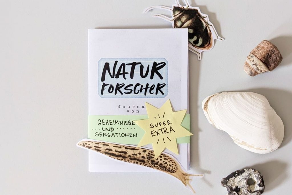 "NATURFORSCHER"-Heft auf grauem Grund mit ausgeschnittenem Käfer und Schnegel, Muschel und Steinen. Titelbanderole "Geheimnisse und Sensationen" mit "Super Extra"-Stern.