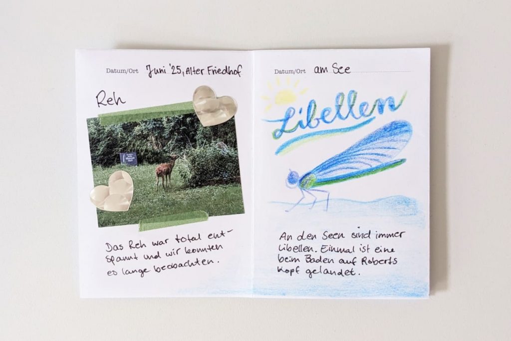 Aufgeschlagenes "NATURFORSCHER"-Zine. Links: eingeklebtes Foto von Reh auf Friedhof, Herz-Sticker, Datum Juni '25. Rechts: Bunte Libellen-Zeichnung, "am See".