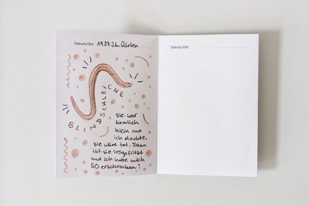 Offenes "NATURFORSCHER"-Zine. Links: Skizze einer geschlängelten Blindschleiche mit handgeschriebenem Text. Rechts: Leere Seite.